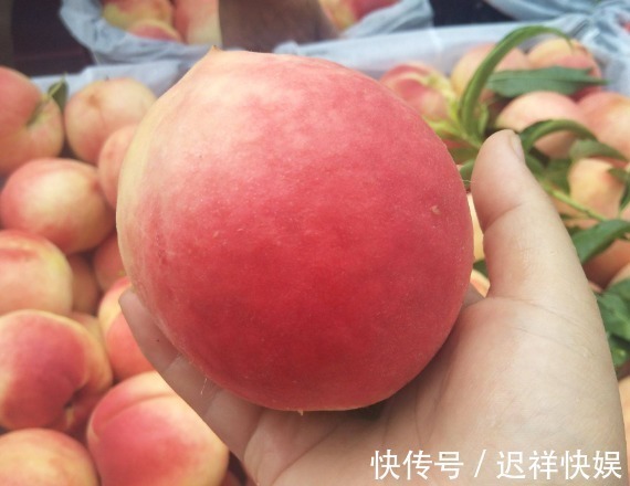 买桃子,不要只会挑大个儿的,学会挑选技巧,桃子又甜又多汁