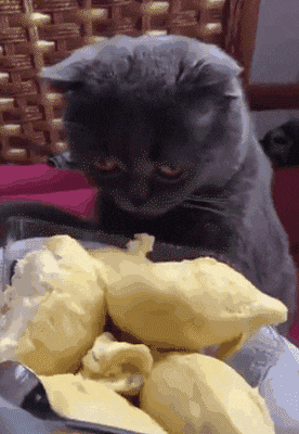 |搞笑GIF:霸气了我的姐 这辈子见过最拉风的走路姿势