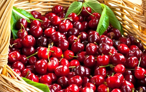 花青素|盘点那些夏季营养健康又便宜的水果,不看这篇文章真的太可惜了!