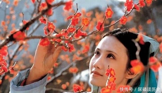 高鹗笔下的妙玉,跟前八十回曹公塑造的妙玉,性情差异有多大?