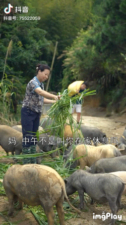 前有李子柒，后有閑不住的阿俊