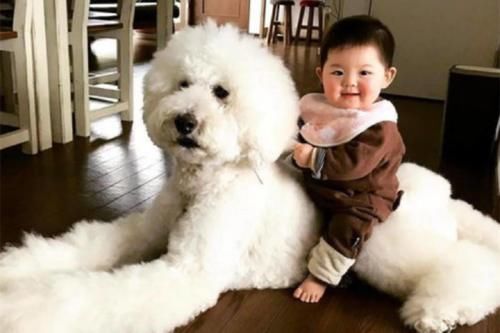 走红|妈妈晒娃丑照走红,宝宝用脸吃饭、擦窗户,网友:娃不要面子的吗