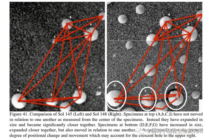 非生物 火星上存在真菌吗？