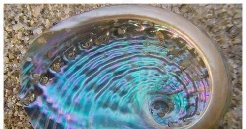 头晕头痛|一味不被人熟知的中药,常被人抛弃,这药有助清肝明目,宁心安神