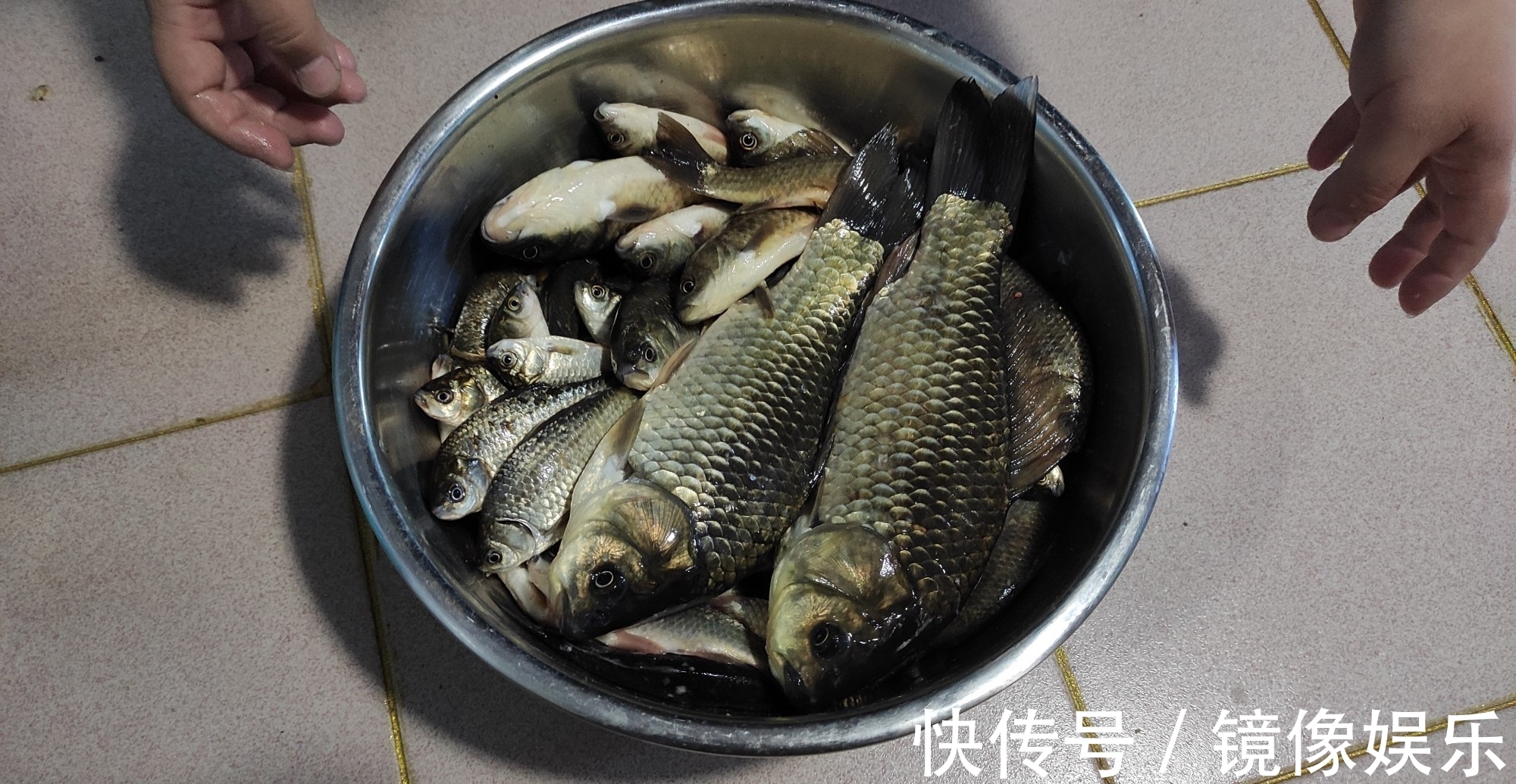 晚秋钓鲫鱼,别再用酒米打窝了,这几种窝料效果比酒米好太多了