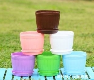 想要养好花,选对花盆很关键,这8种花盆你了解吗