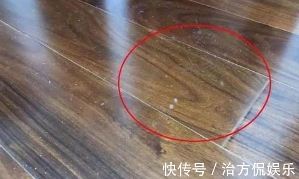 玻璃款|住1年返工3次才敢说19大装修细节最致命!错1处多交上万智商税