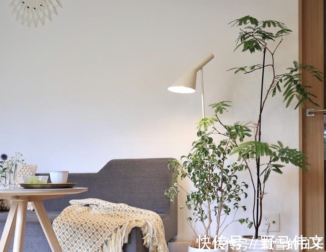 太太|日本太太的精致治愈系之家,全屋干净清爽、一尘不染到令人羡慕!