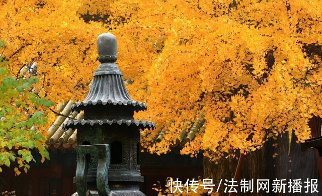 度宗咸淳$诗僧笔下的秋天,不仅有最美的秋色,还有浓浓禅意,令人回味无穷