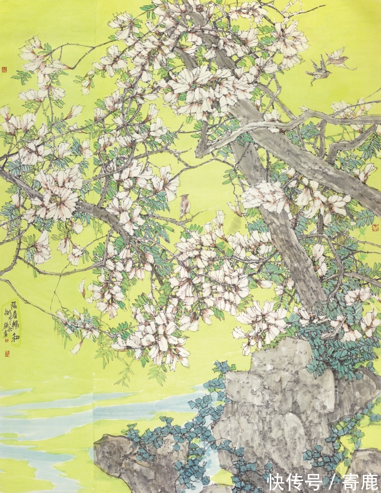 畅春!雅润天成|胡楠「花鸟画」