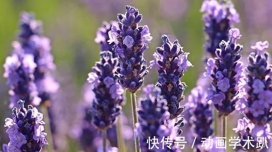 新局面|下礼拜,八方来喜,事业光明,邂逅旧爱,重启幸福,迎来新局面