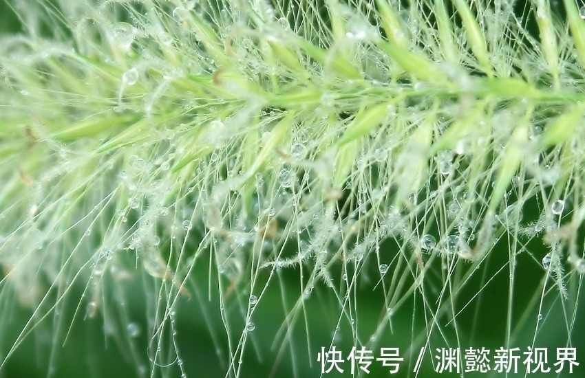 生肖|善于“伪装”的三个生肖女,外表坚强内心脆弱,白天微笑晚上舔伤