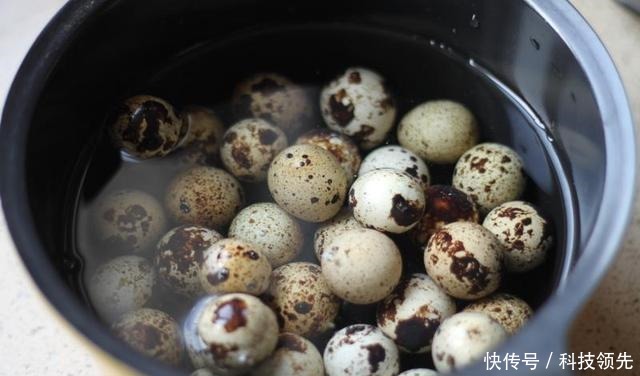 它是“动物中的人参”,早晚吃几颗,健脑益智护视力,孩子可多吃