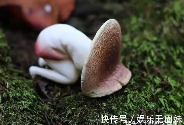 寒毒|寒毒凝于筋,影响到气血运行,3个方法,把身体内的寒毒排出去