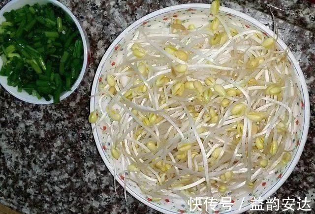 家里的塑料油桶别扔，有3个“妙用”，种菜效率高，扦插生根快