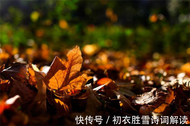 黄庭坚#明丽早秋山水宋词三首:谁道秋来烟景素,一番时态一番新