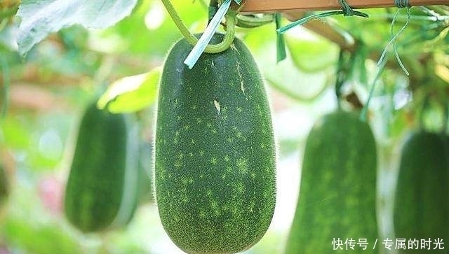 女性不想皱纹爬上脸,常吃3种食物,滋养卵巢,延缓衰老,显年轻