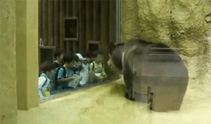 |搞笑GIF:这群人真的太会玩了,好想跟他们一起玩