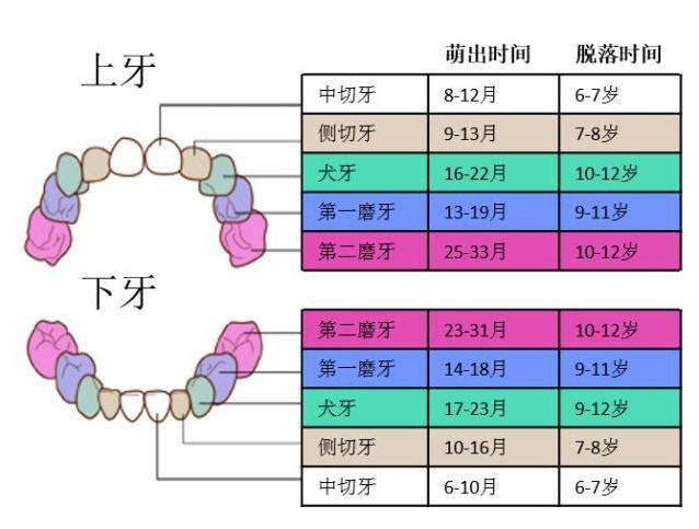牙龈|宝宝出牙如果晚于这个时间,建议去看看医生