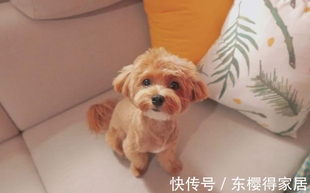 收纳|见缝插针做收纳，75㎡装出大空间，90后新婚夫妻的小家，超级喜欢