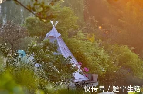 大花园|退休夫妻花4年改造自家老房，建3000㎡大花园，住在人间仙境里