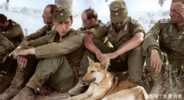 片拍摄于1944|二战德军士兵被俘集锦，苏军曾单次俘获85万德军部队！
