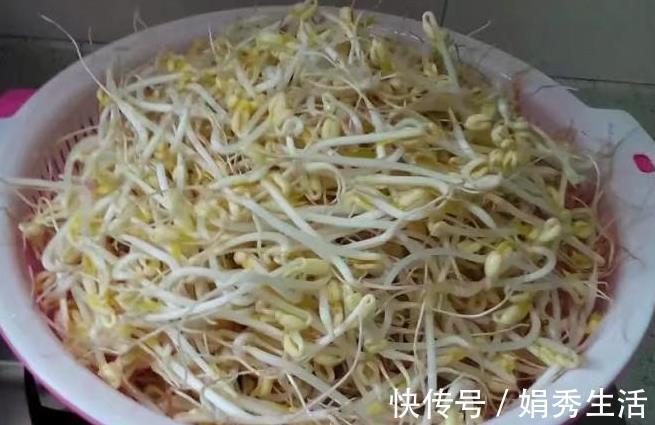 容器|在家发豆芽,4天就能吃,方法教给你,制作简单,好吃营养又卫生