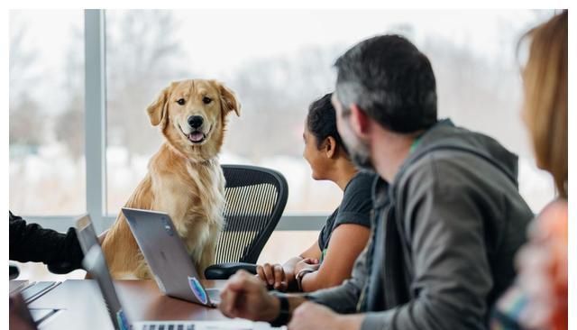 情绪|如何与孩子和谐相处?培养高情商的孩子,让TA自由成长