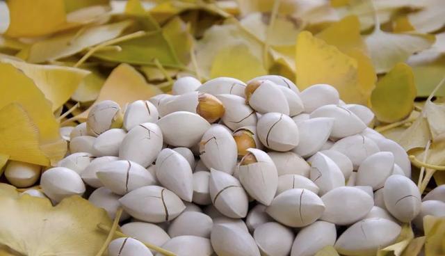 慢性疾病|甲状腺“知音”被发现,并非西红柿,常吃点,结节也许慢慢变小