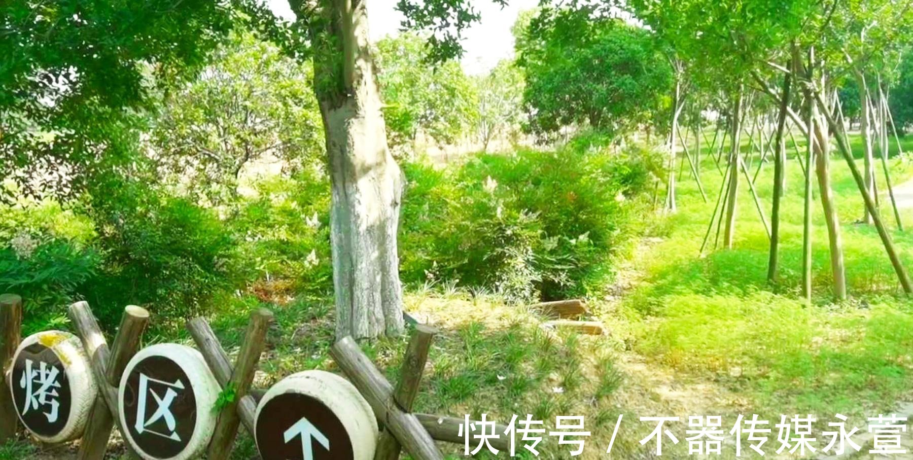 景区|武汉旅游，打卡新洲一座田园风景区，观光火车自然生态美得像油画