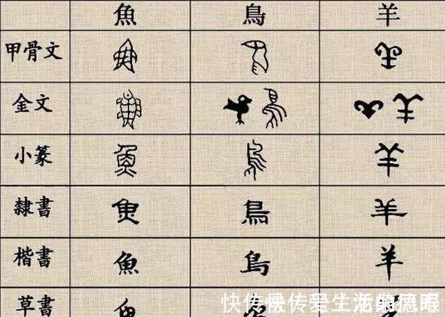 半农杂文!有一个汉字,发明者被女性责骂三年,如今却被人广泛使用