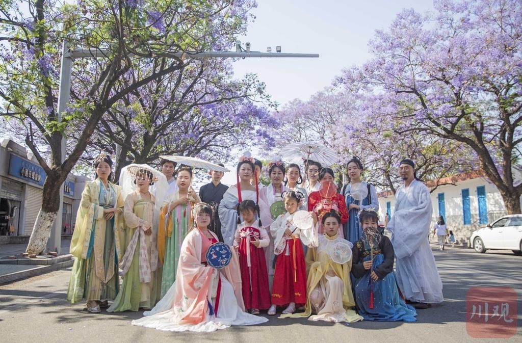 当蓝花楹遇见汉服，盛装而来只为赴这一场春日邀约