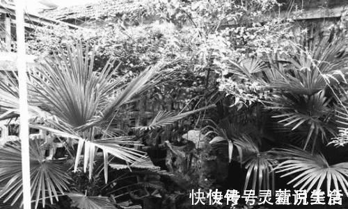 风景|为了院子买下68平米残破小,爆改后,处处都是风景,简直太美了