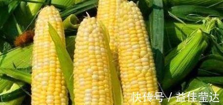 排毒|越吃越好的食物，推荐给大家，保肝护肾，促进排毒，预防便秘