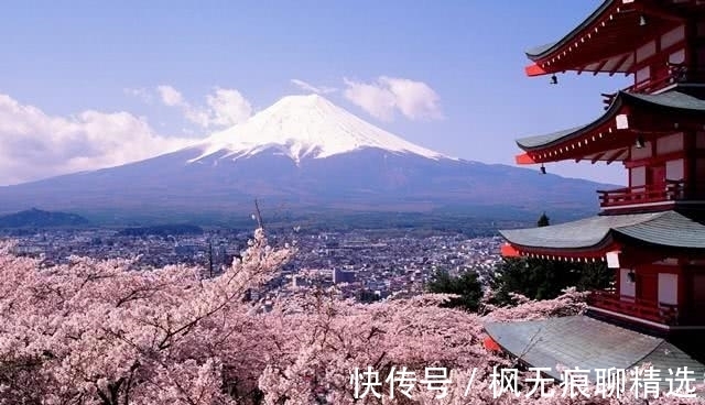 香兰素|7个冷到让你“盖被子”的冷知识,你还别不信,鱼真能淹死!