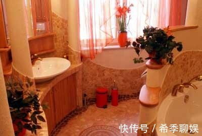 色调|单色设计方案