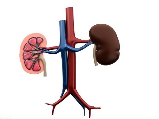 心血管医生|高血压不能停药心血管医生辟谣这4种高血压都能停用降压药