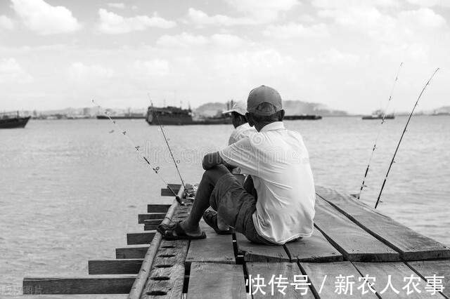 广东一男子野钓用螺蛳打窝，钓获180斤的“青鱼王”，用锄头刮鳞