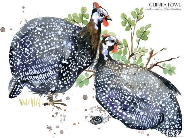 部编五上《珍珠鸟》的学习指导,让孩子记得更牢,学得全面