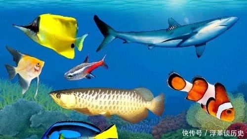 相濡以沫,不若相忘于江湖,你找到自己的江湖了吗?