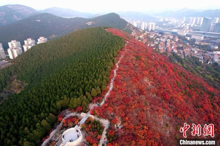 打卡|山东济南“半边翠绿半边红”蝎子山成“网红”打卡地