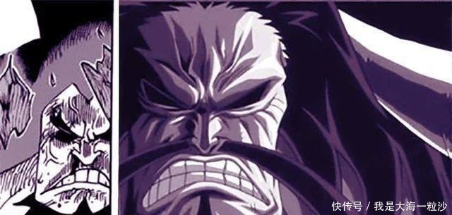 海贼王|海贼王欧文是大妈和凯多的孩子网友看完长相后我真信了