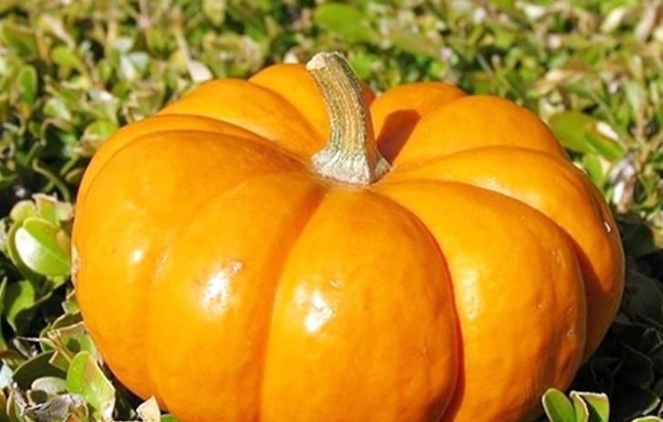 红枣|南瓜的营养丰富是我们很常见的一款蔬菜，来看看它的功效跟禁忌！