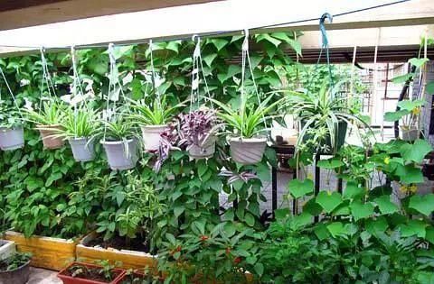 老公不顾反对买二楼的房子,完工后多出一个小花园,邻居都羡慕