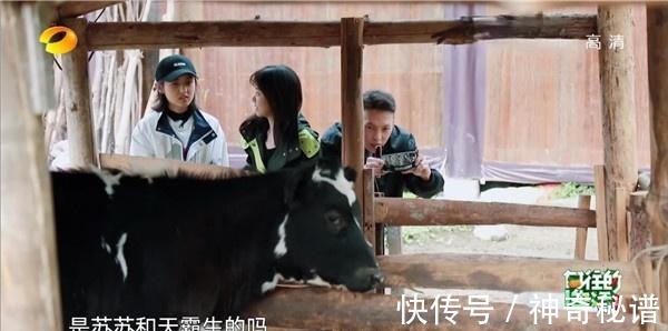 时长|最好的嘉宾,最短的时长,向往的生活这期亏在时长都给了陈赫!