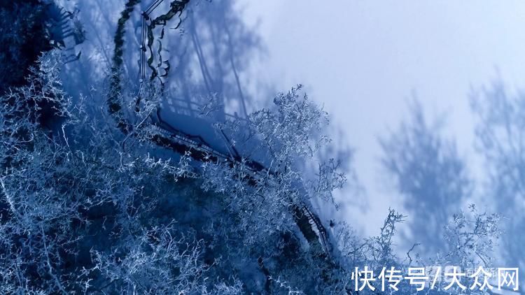 景观|济南现绝美雾凇！航拍视角俯瞰漫山雪白犹如仙境