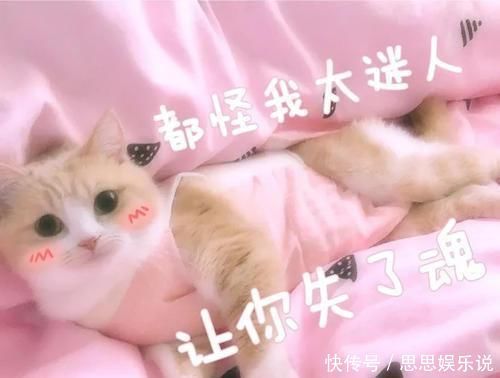 雨衣|那些年被吹爆了的平价好物,其实很鸡肋!快看看有没有你入手过的