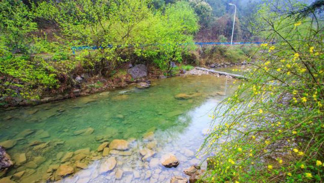 长安#王维的境界无人能及,晚年写下的这首五绝,一字一句超凡脱俗!