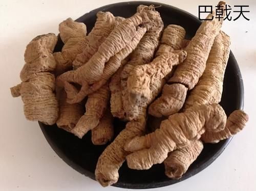 韭子|肾气虚损,不能藏精,一个方子,补肾填精