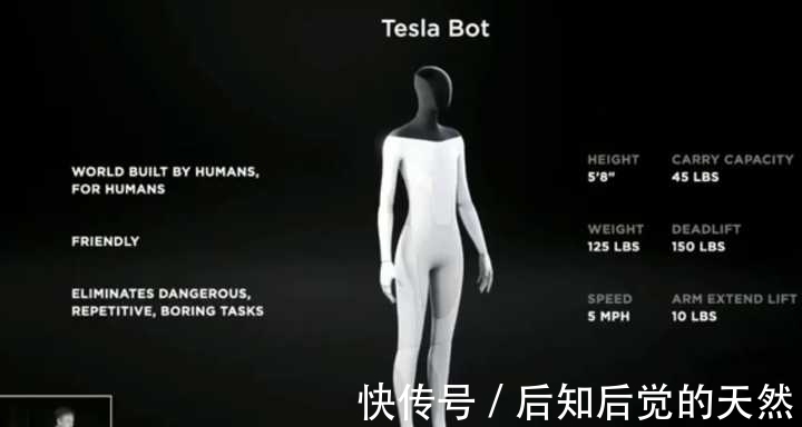 第一财经|“机器保姆”将出现?马斯克打造人形机器人,洗衣做饭能当另一半